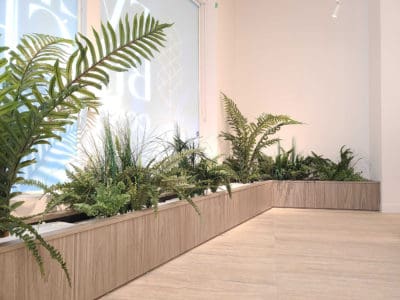 Faux Plants